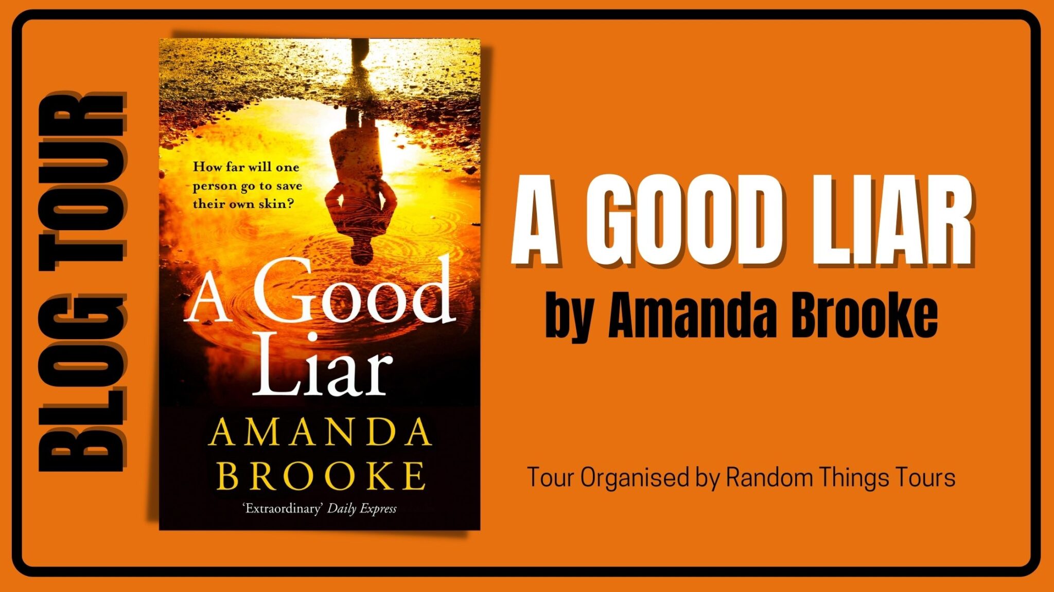 A Good Liar Book Review – Featz Reviews