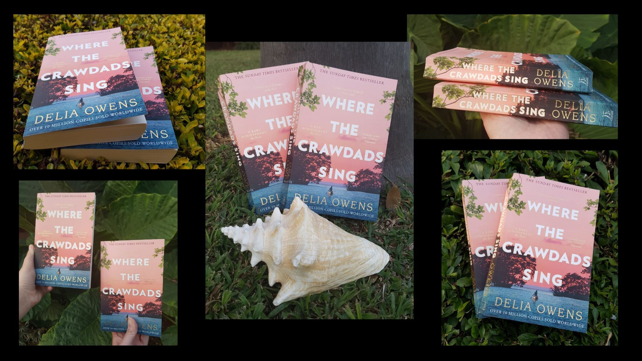 Where The Crawdads Sing Book Review Featz Reviews